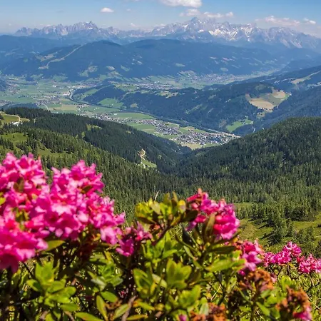 آيغنبرغ أبارتمنتس شقة *